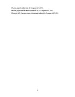 Referāts 'Pirmā pasaules kara cēloņi', 10.