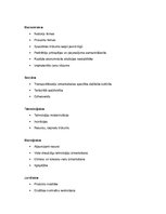 Konspekts '"Yamaha" SVID, PEST un piecu Portera spēku analīze', 2.