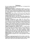 Konspekts 'Kaktusi', 6.