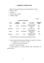 Biznesa plāns 'Skaistumkopšanas produkti no kliņģerīšu ziediem', 17.