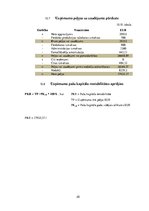 Biznesa plāns 'Skaistumkopšanas produkti no kliņģerīšu ziediem', 25.