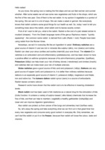 Konspekts 'Radishes', 2.