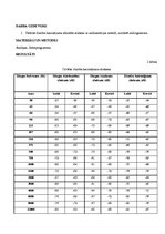 Paraugs 'Audiometrija', 2.