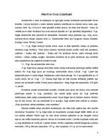 Referāts 'Amatniecības kamera', 4.