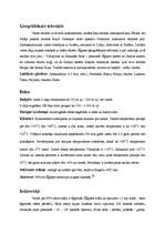 Konspekts 'Ēģipte', 2.