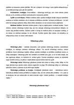 Konspekts 'Reklāmas mērķi. Stratēģijas izstrāde', 4.