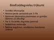 Prezentācija 'Biodīzeļdegviela', 5.