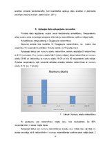 Referāts 'Pakalpojumu rezervēšanas iespēju attīstība Daugavpils viesnīcās', 13.