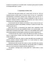 Prakses atskaite 'Bauskas rajona tiesa', 11.