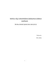 Referāts 'Metālu sāļu izmantošana krāsainas liesmas iegūšanā', 1.
