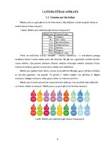 Referāts 'Metālu sāļu izmantošana krāsainas liesmas iegūšanā', 6.