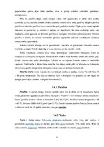 Referāts 'Metālu sāļu izmantošana krāsainas liesmas iegūšanā', 9.