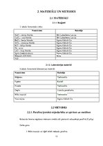 Referāts 'Metālu sāļu izmantošana krāsainas liesmas iegūšanā', 13.