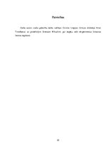 Referāts 'Metālu sāļu izmantošana krāsainas liesmas iegūšanā', 22.