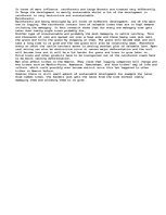 Eseja 'How Man Influence the Rain Forest and Taiga Forest', 1.