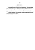 Referāts 'Plānošanas funkcija menedžmentā', 2.