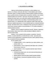 Referāts 'Plānošanas funkcija menedžmentā', 6.