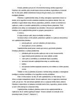 Referāts 'Plānošanas funkcija menedžmentā', 8.