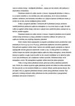 Referāts 'Plānošanas funkcija menedžmentā', 15.