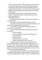 Referāts 'Plānošanas funkcija menedžmentā', 23.