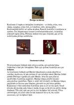 Referāts 'Austrālija', 6.