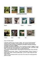 Referāts 'Austrālija', 14.