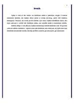 Referāts 'Feodālās Japānas ekonomiskā attīstība', 3.