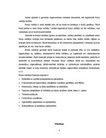 Referāts 'Biroja darba organizācija un tās pilnveidošanas iespējas uzņēmumā', 4.