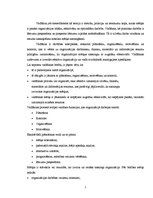 Referāts 'Biroja darba organizācija un tās pilnveidošanas iespējas uzņēmumā', 5.