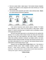 Referāts 'Biroja darba organizācija un tās pilnveidošanas iespējas uzņēmumā', 9.