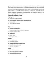 Referāts 'Biroja darba organizācija un tās pilnveidošanas iespējas uzņēmumā', 59.