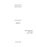 Paraugs 'Elpošanas fizioloģija', 1.