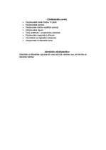 Konspekts 'Cilvēktiesības', 2.