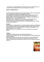 Referāts 'Veselīgs dzīvesveids', 9.