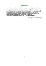 Referāts 'Veselīgs dzīvesveids', 17.