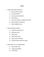 Biznesa plāns 'Biznesa plāns', 1.