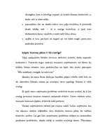 Biznesa plāns 'Biznesa plāns', 6.