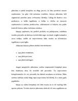 Biznesa plāns 'Biznesa plāns', 8.