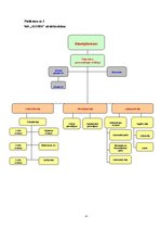 Prakses atskaite 'Sabiedrība ar ierobežoto atbildību "Alvima"', 21.