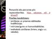 Prezentācija 'Muzikālais bārs "El viernes la playa"', 5.