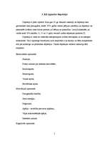 Referāts 'Pusaudžu depresija', 5.