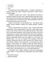 Referāts 'SIA "Augstceltne" gada pārskata sastādīšana un tā novērtēšana', 12.