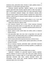 Referāts 'SIA "Augstceltne" gada pārskata sastādīšana un tā novērtēšana', 20.