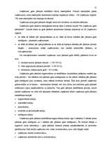 Referāts 'SIA "Augstceltne" gada pārskata sastādīšana un tā novērtēšana', 25.