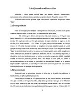 Referāts 'VAS "Starptautiskā lidosta "Rīga"" tirgus izpēte', 6.