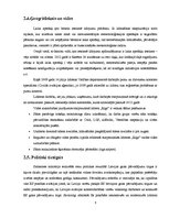 Referāts 'VAS "Starptautiskā lidosta "Rīga"" tirgus izpēte', 8.