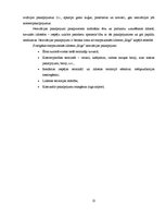 Referāts 'VAS "Starptautiskā lidosta "Rīga"" tirgus izpēte', 13.