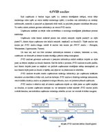 Referāts 'VAS "Starptautiskā lidosta "Rīga"" tirgus izpēte', 14.