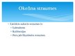 Prezentācija 'Okeānu straumju ietekme uz klimatu', 6.