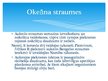Prezentācija 'Okeānu straumju ietekme uz klimatu', 7.